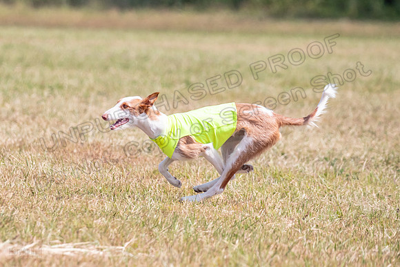 Finals Singles 1 Cricket-1571