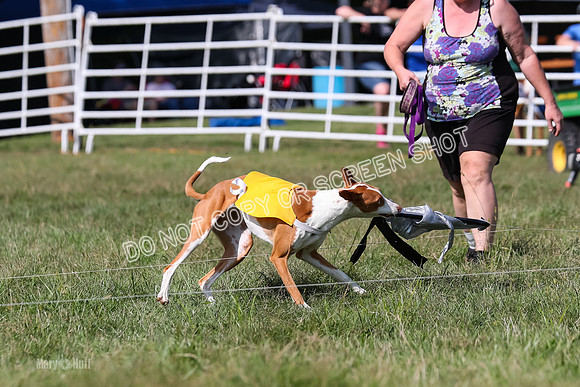 Open Prelim A2, Madyson, Razz-7653