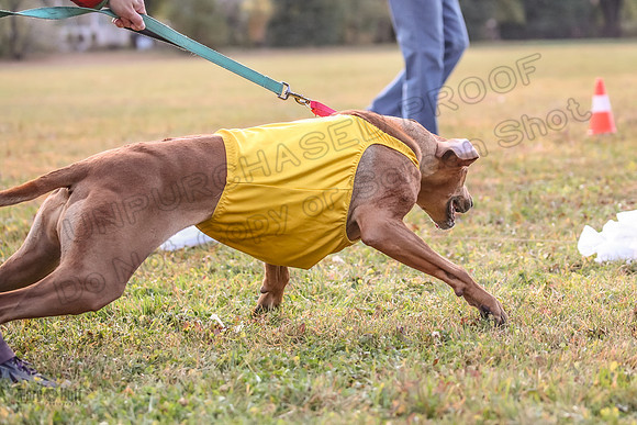 1 Prelims Vet Libby Xena-0428