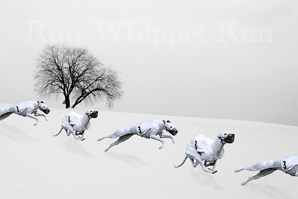 Art Winter Run Whippet