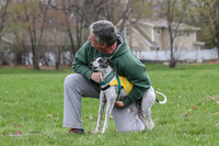 Finals Whippet Open-4693