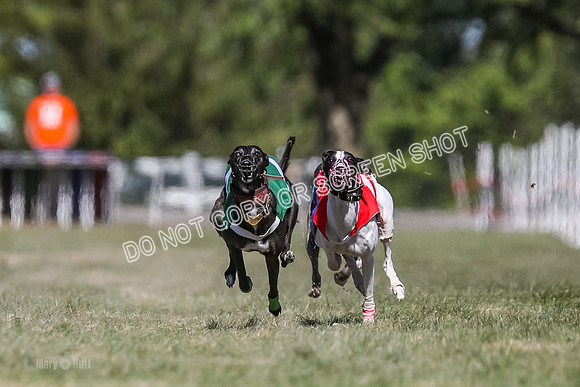 Prg 4, Race 3, Dazzle Margot Cherry Pie Clyps Tahoe-0124
