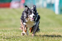 AE4I5069