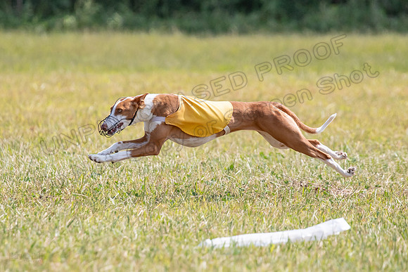 Finals Specials A1 Madyson Alba Faline-1298
