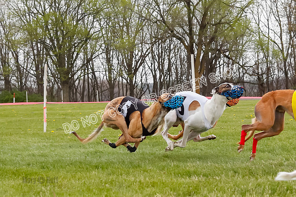 WRA, Prg 4, Race and 9, Bookie Joplin, Jigsaw, Chase, Navi, Rogue-9421