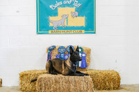 AE4I8384