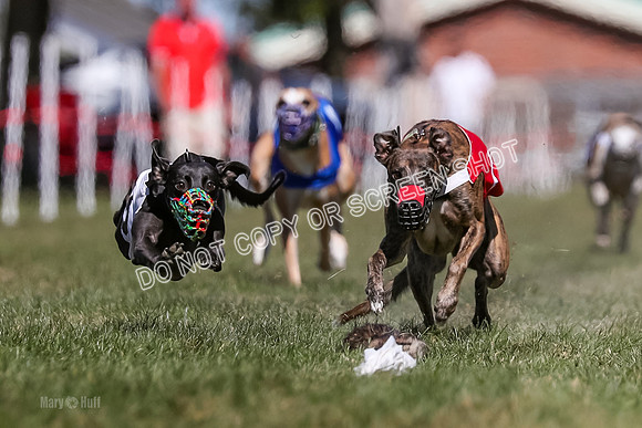 Prg 4, Race 1, Ruffian Flynn Nami Rigby Arrow Echo-0038