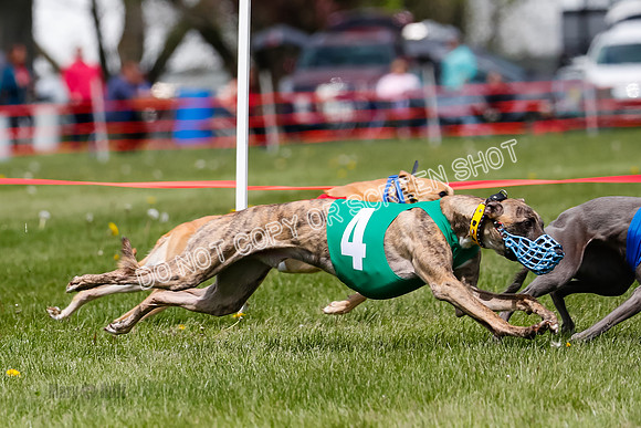 NOTRA Program 3, Race 7, Sparks Jubilee Tahoe Mika-2-17