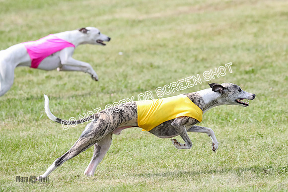 AE4I2209