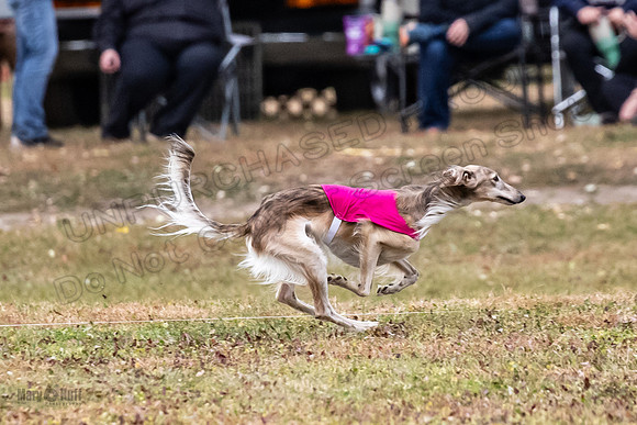 Finals Open Ripley Spiff-2692