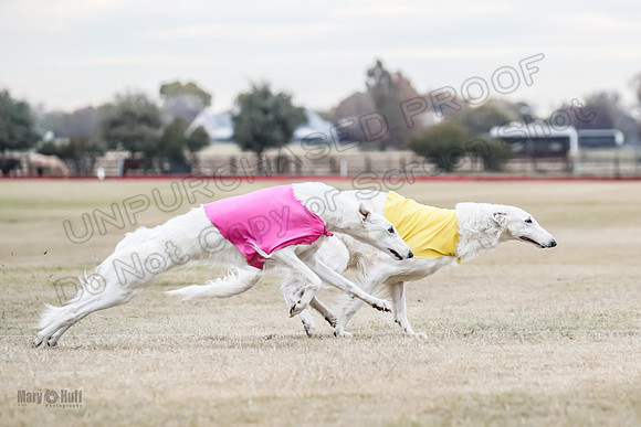 1Prelim Open 1 Marcasite Lightening-2299