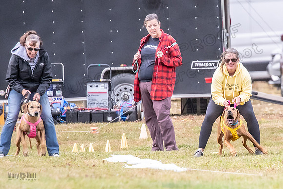Finals Vet Libby Xena-2483