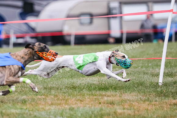 Prg 1, race 11, Jamie Maxx Tahoe Ryka-0838