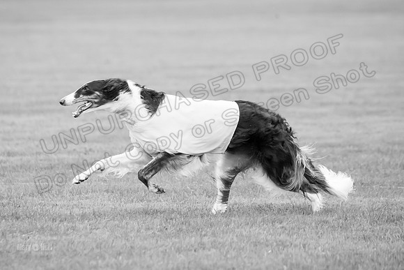 Open Prelim 2, Masquerade Freebie-0541-2