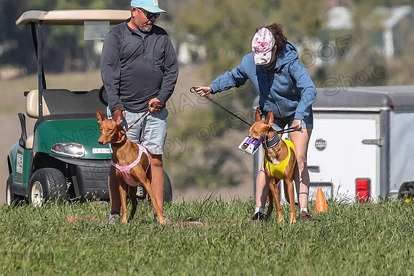 2 Finals Fch Jasper Calyber-7144