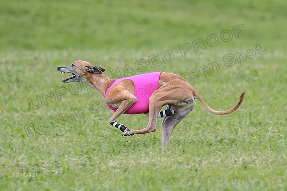 Prelim Veterans 4, Smokey Vulcan Justice-0179
