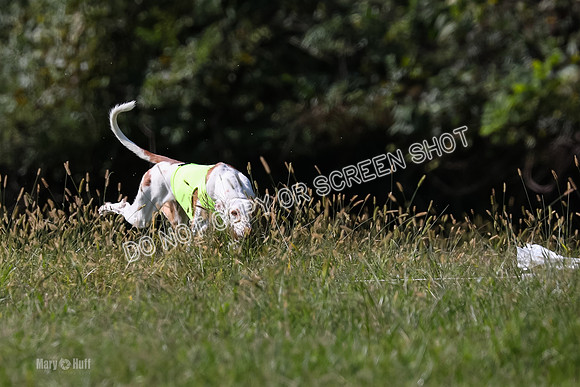 Open Prelim B2, Latte, Wizard-7885