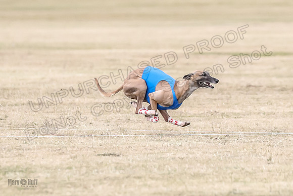 1Prelim Open 3 Eggsy Trixie Treble-3013