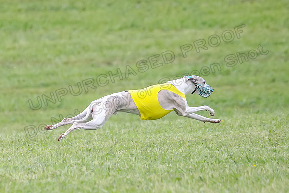 Prelim Open F2, Trippit Sid Fva-9298