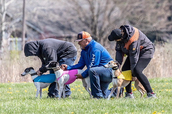 1Prelims Specials B6 Mantle PeteySue Echo-1570
