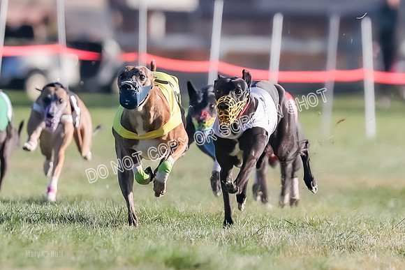 Prg 1, Race 14, Grim Zivah Beacon Cherry Pie Siggy Riggs-9211