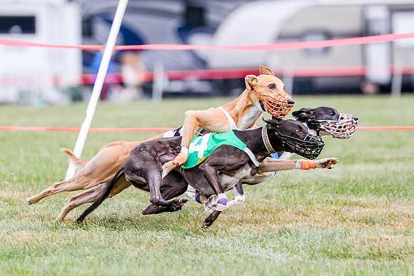 Prg 1, Race 16, Carl Maybe Bookie Sealli-0975
