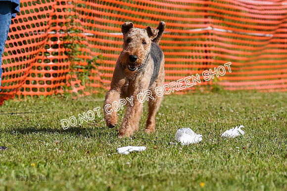 AE4I1562