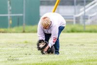 Cat Test 2-0993