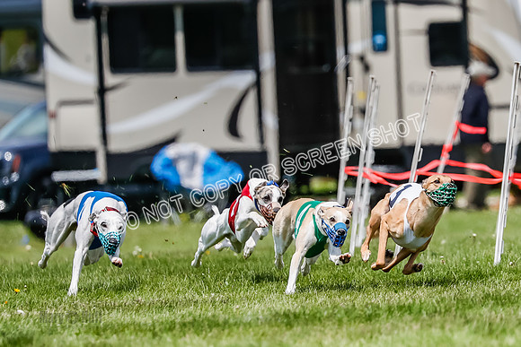 NOTRA Program 3, Race 3, Eddie Elvis Picanha Coyote-2-8