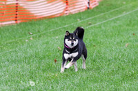 Doescher 1 Ruby