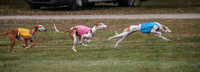 1 Prelims Fch 1 Penny Jadis Willow-5760