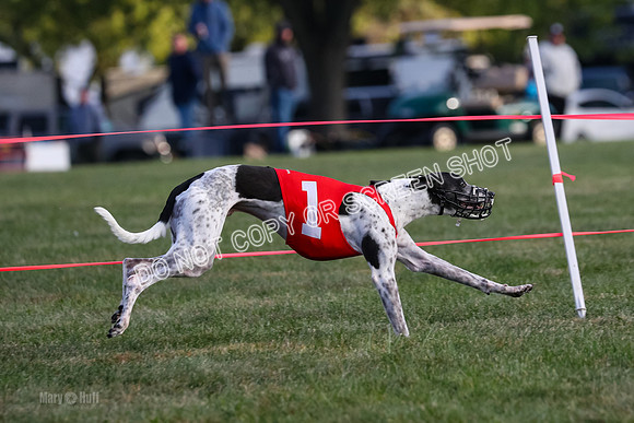 Prg 1, race 5, Cash Dusty Oats Carney-0682