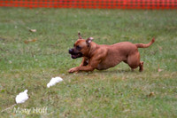 IMG_0225