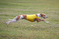1 Prelims Obie-1128