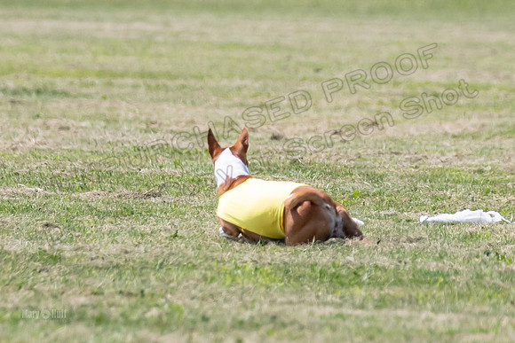 Finals-0139