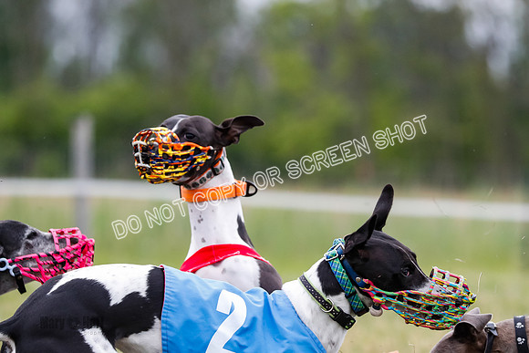 Prg 3, Race 2, Chuck-Tusi-Smokey-Raz-Angel-Nathalia-1072