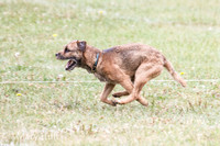IMG_0949