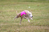 1 Prelims Open 1 AnnieOakley Fennec Zero-1250