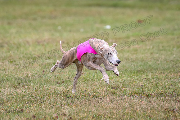 1 Prelims Open 1 AnnieOakley Fennec Zero-1250