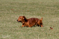 IMG_1838