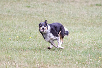 IMG_0628