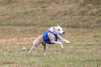 1 Prelims Open 1 AnnieOakley Fennec Zero-1243