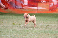 IMG_9050