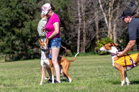 Prelims Fch 1 Ginny Willow Madyson-5403
