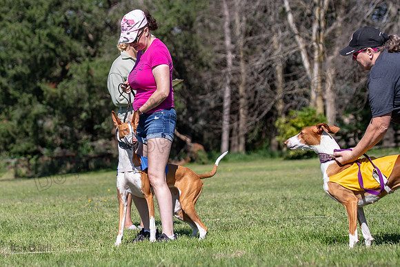 Prelims Fch 1 Ginny Willow Madyson-5403