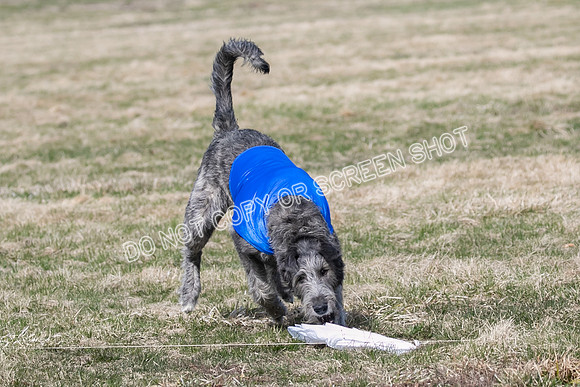 _E4I1968