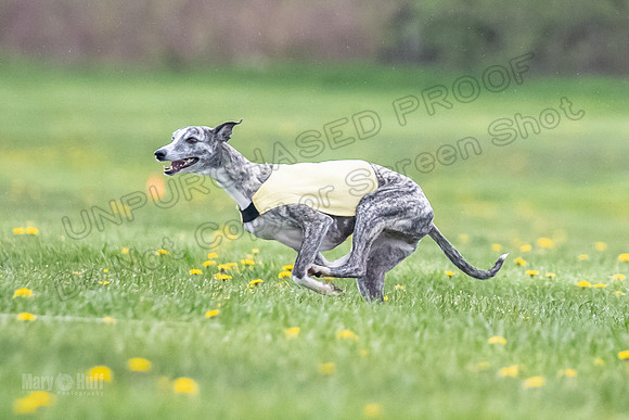 Finals Fch A1 Whisper Treble JesseJames-9067