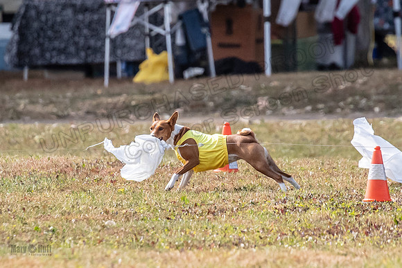 Finals Kamii-3468