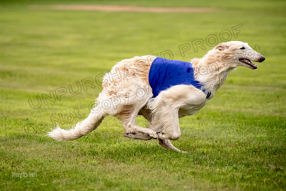 Open Prelim Bluegene Rhett Zen-0508