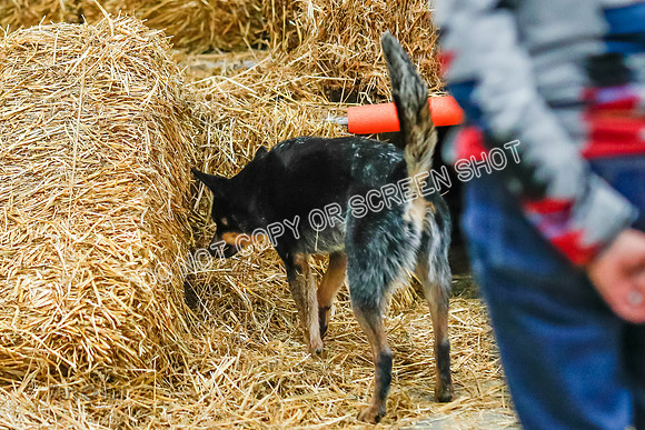 _E4I6711